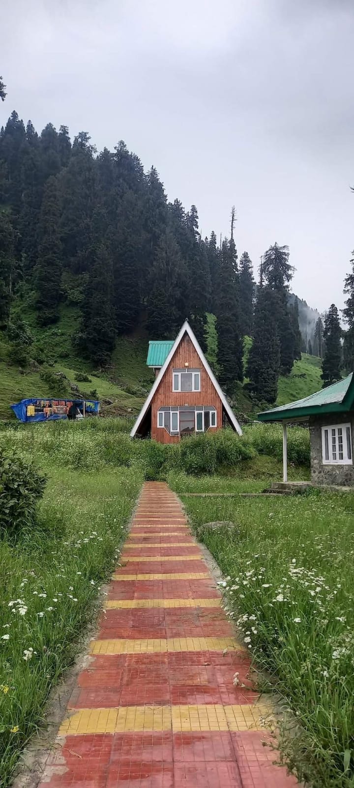 MAGICAL KASHMIR ECONOMY - Countryside Kashmir